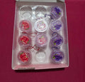 Fruit Jelly Lip Mask Keychain